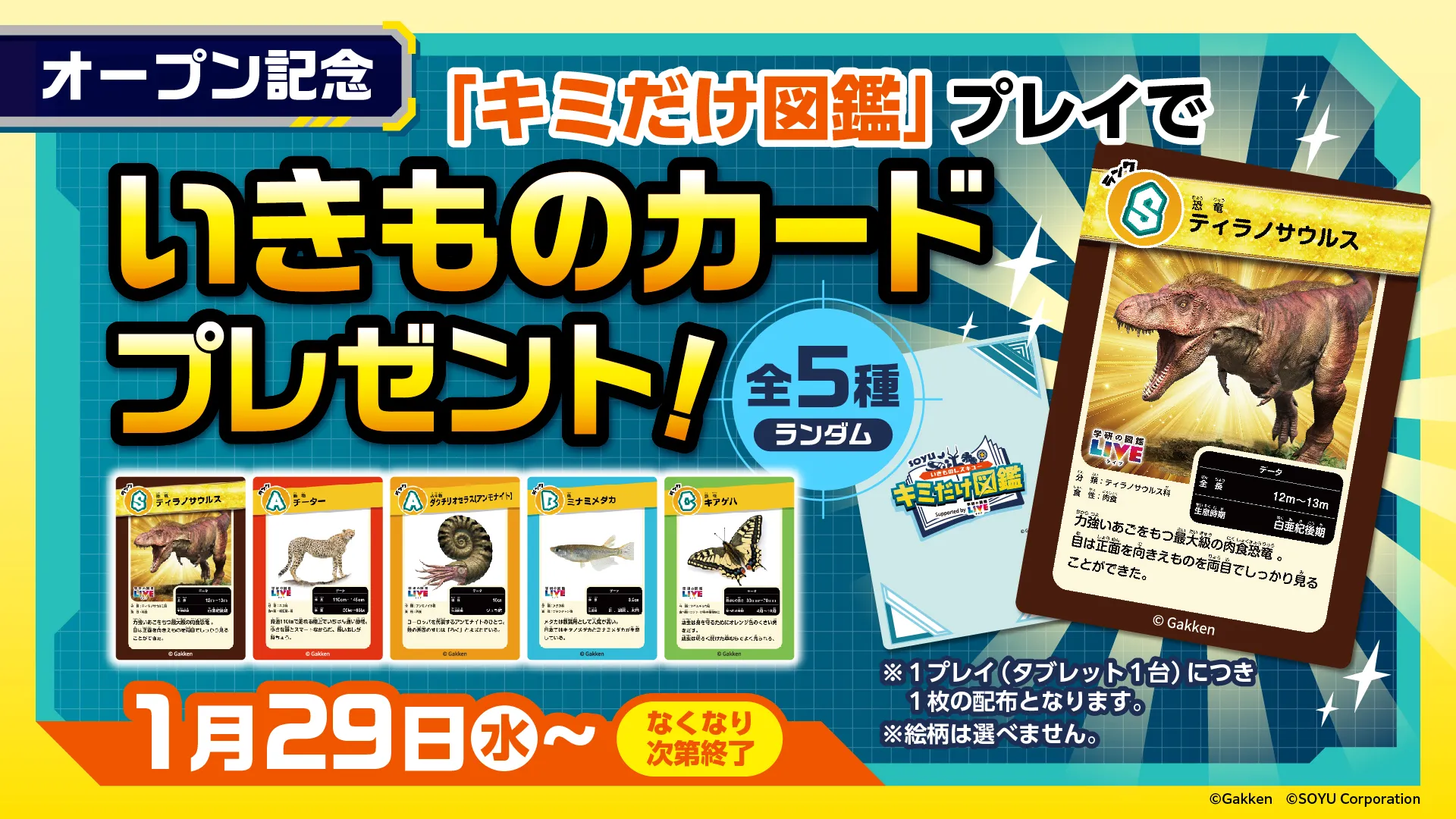 オープン記念！キミだけ図鑑を遊んでいただいた方に「いきものカード」をプレゼント！