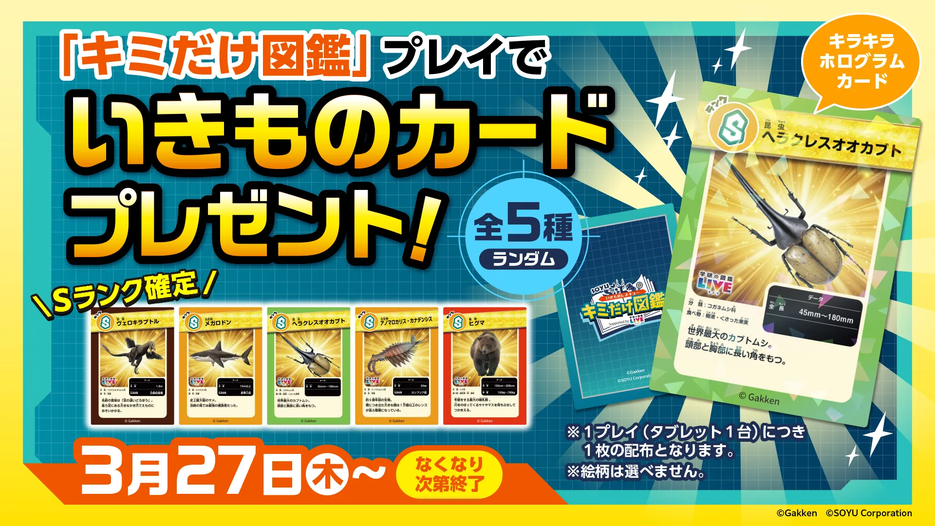 キミだけ図鑑を遊んでいただいた方に「第2弾 いきものカード」をプレゼント！