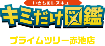 キミだけ図鑑 プライムツリー赤池店