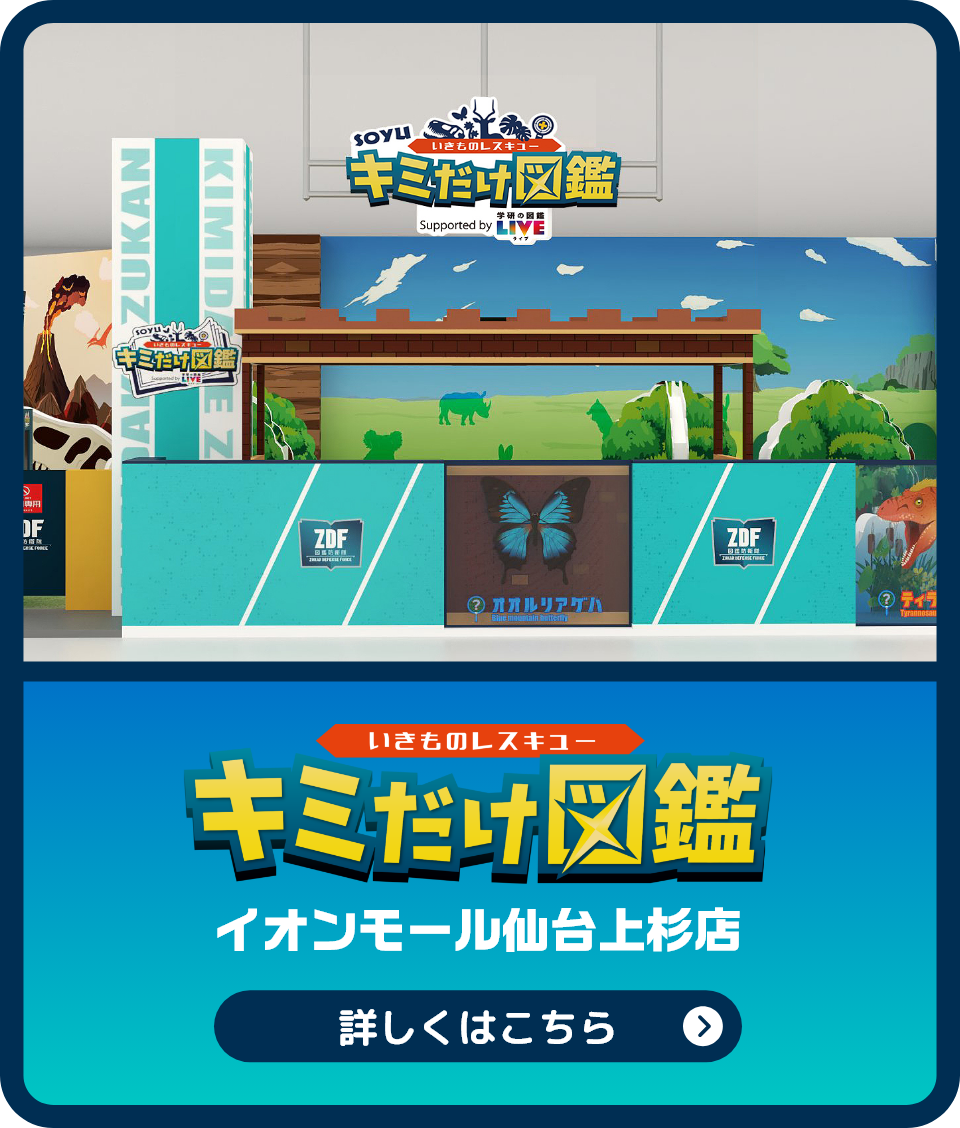 いきものレスキュー キミだけ図鑑 イオンモール仙台上杉店